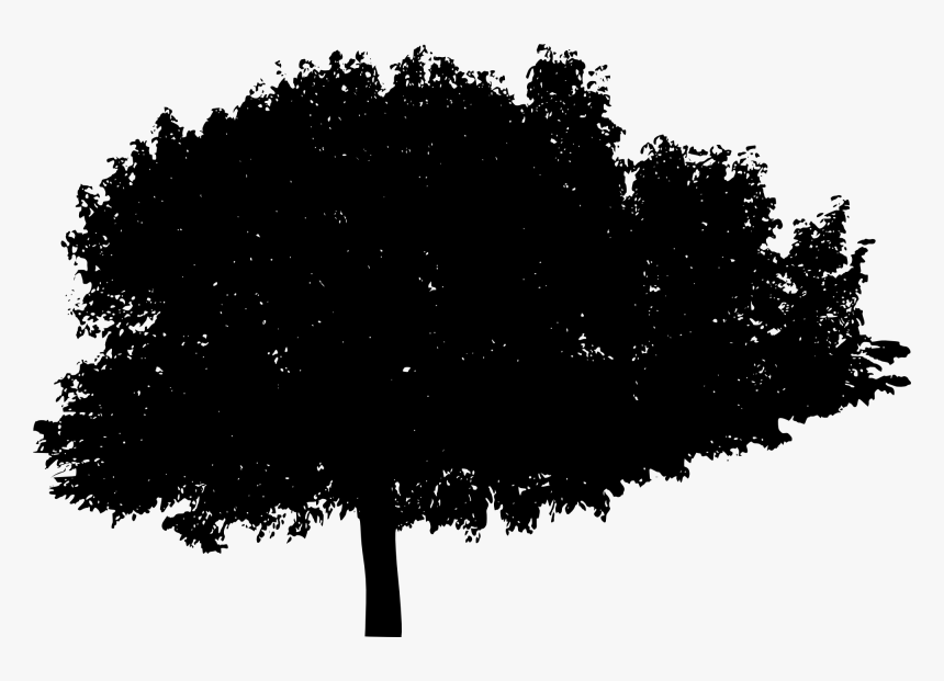 Bush Silhouette Transparent, HD Png Download, Free Download