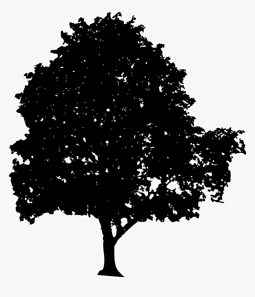 Oak Tree Silhouette Png, Transparent Png, Free Download