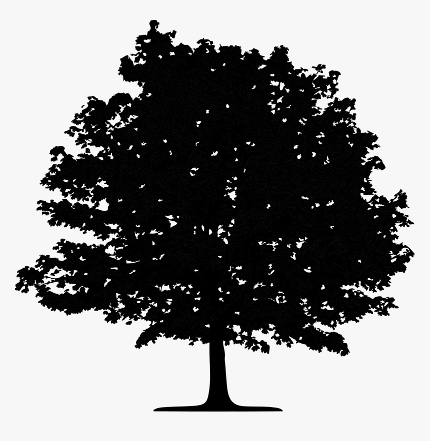 Image Oak Tree Silhouette Portable Network Graphics - Oak Tree Silhouette Png, Transparent Png, Free Download