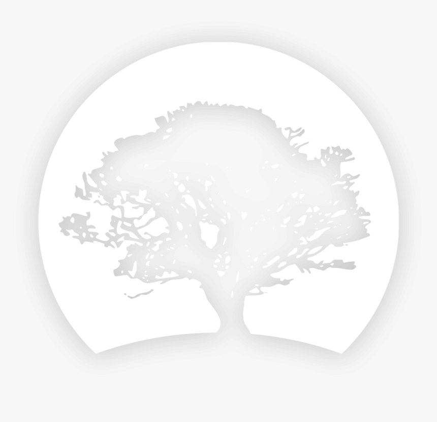 Oak Tree Silhouette Png, Transparent Png, Free Download