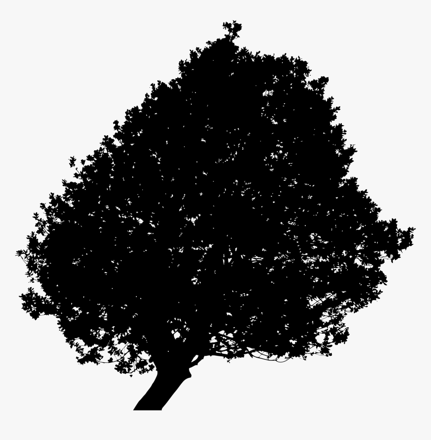 Lonely Tree Silhouette 2 Minus Ground - Oak Tree, HD Png Download, Free Download