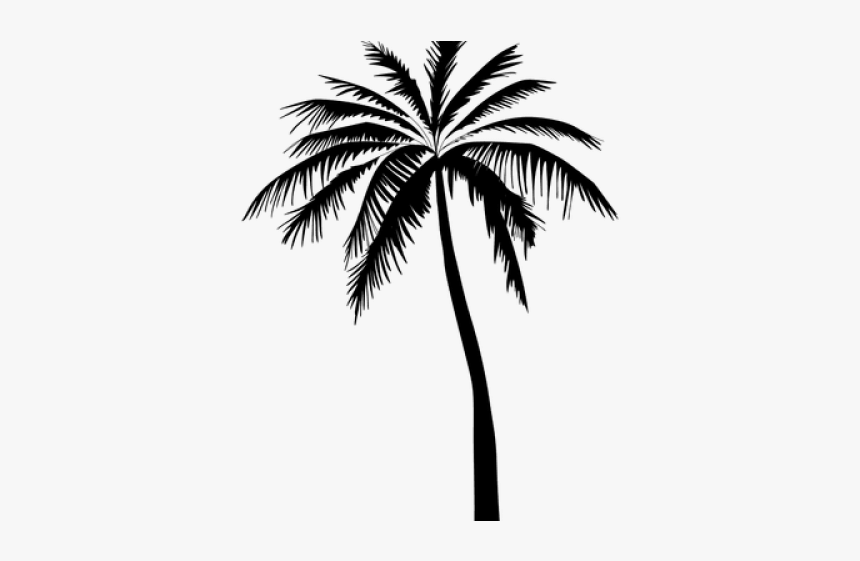 Coconut Tree Vector Png, Transparent Png, Free Download