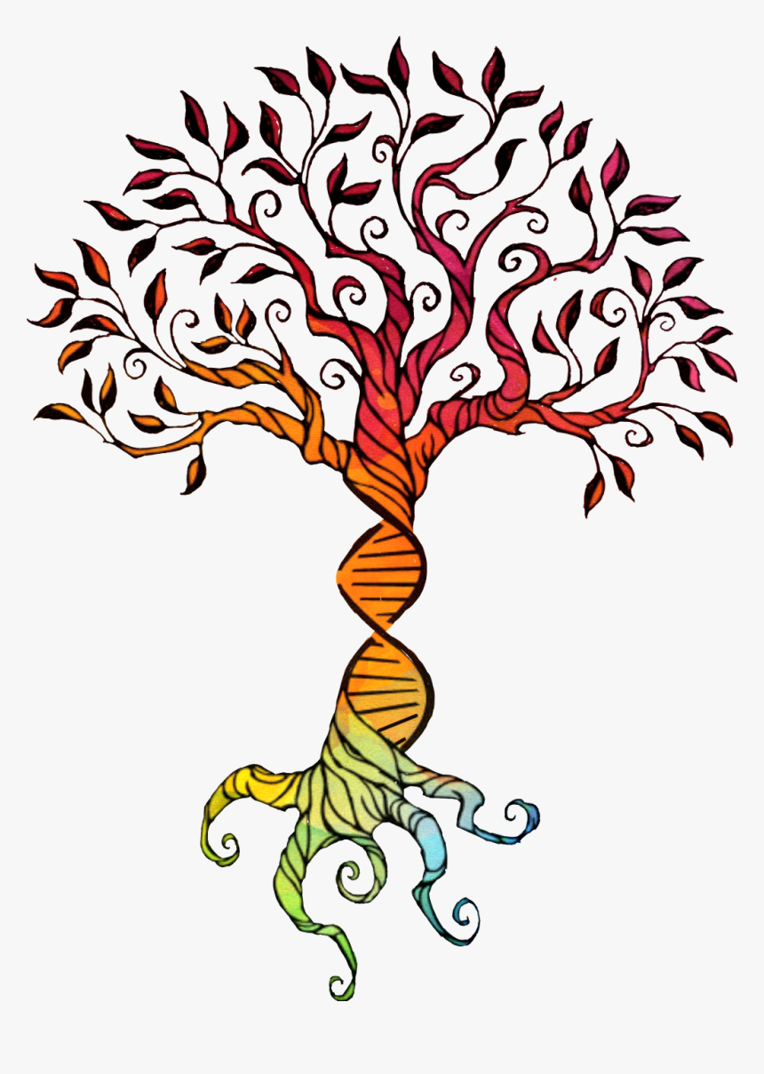 Treeoflife Watercolor Rainbow Dna Brelfie Rainbowbaby - Tree Of Life Drawing Easy, HD Png Download, Free Download