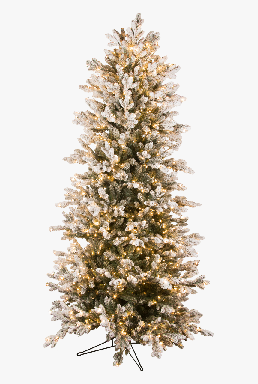 7 - - Christmas Tree, HD Png Download, Free Download