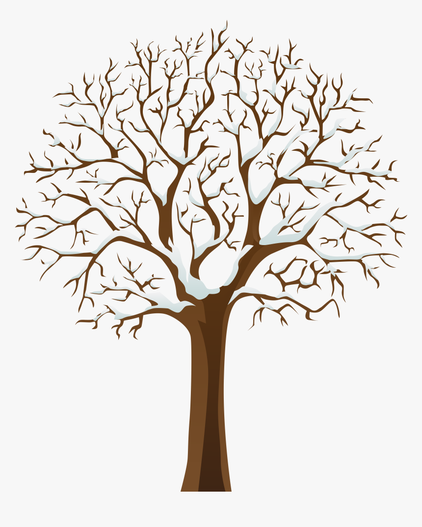 Snowy Winter Tree Transparent Png Image, Png Download, Free Download