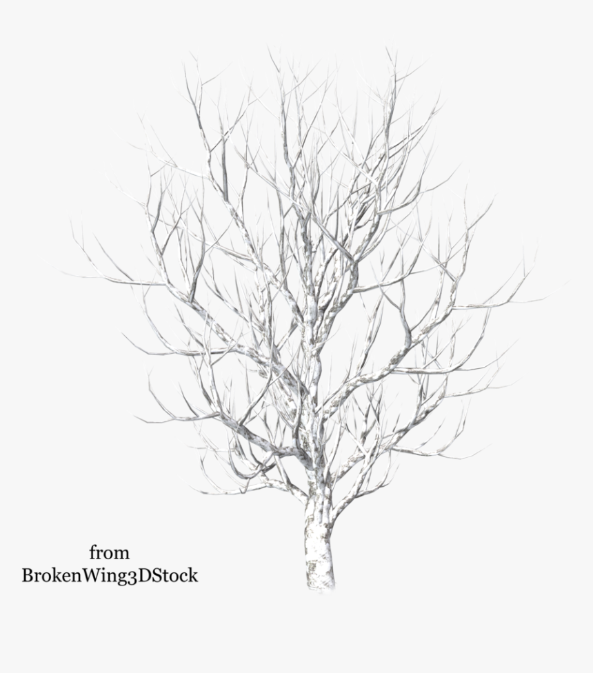 Tree In Drawing At - Winter Snow Tree Png, Transparent Png, Free Download