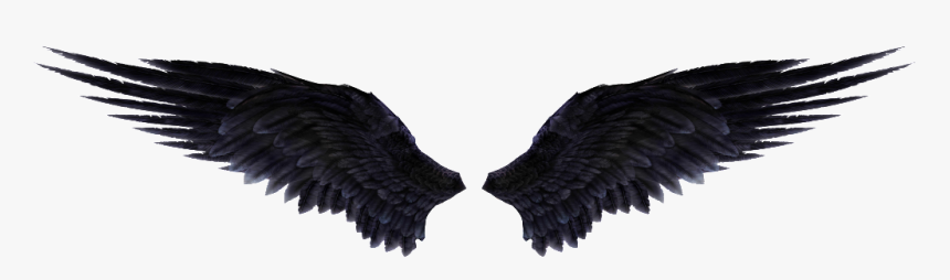 Wings Png Images Free - Black Angel Wings Png, Transparent Png, Free Download