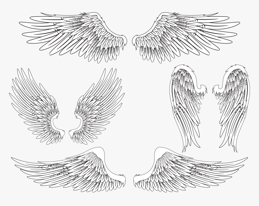 Transparent Realistic Angel Wings Png - Realistic Angel Wings Drawing, Png Download, Free Download