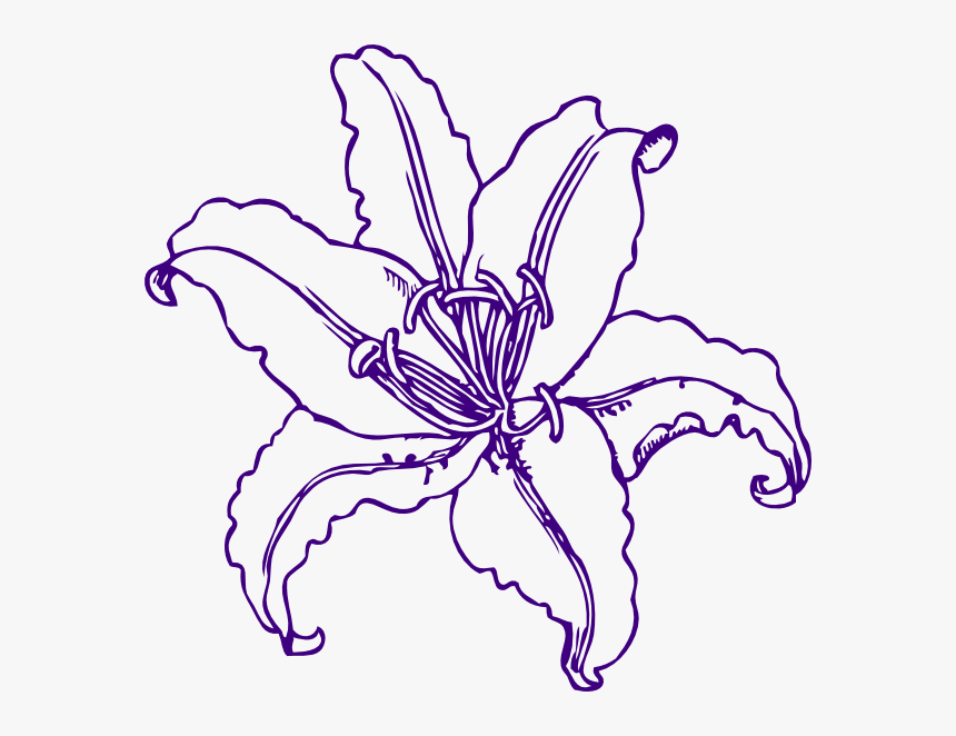 Purple Lilly Clip Art At Clker - August Birth Flower Drawings, HD Png Download, Free Download