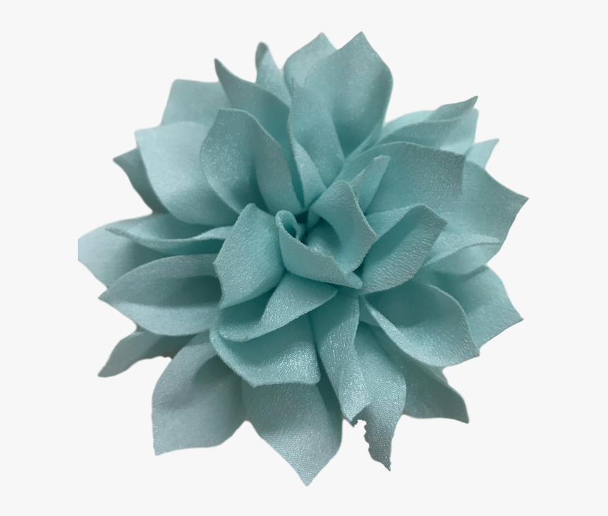 Echeveria, HD Png Download, Free Download