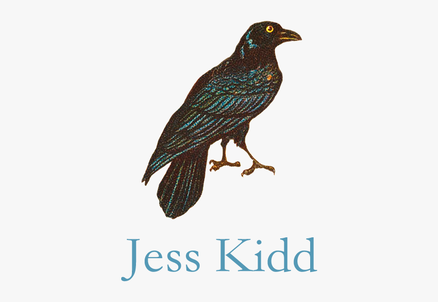 Jess Kidd - Illustration, HD Png Download, Free Download