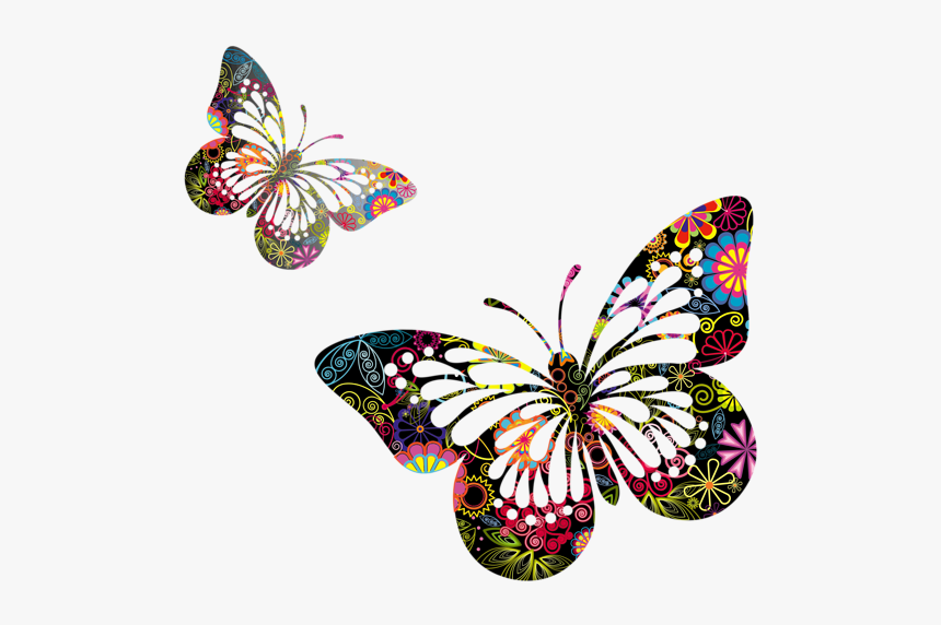 Butterflies Vector Png Picture - Butterfly Vector Png, Transparent Png, Free Download