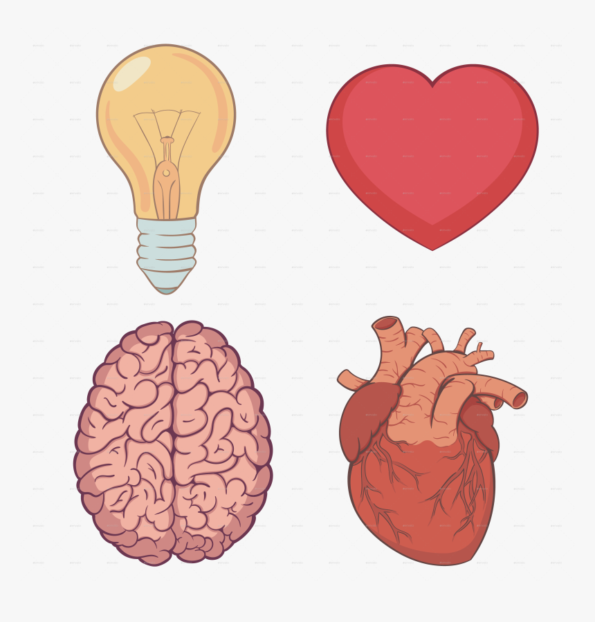 Transparent Brain Png - Cartoon Human Brain Transparent, Png Download, Free Download