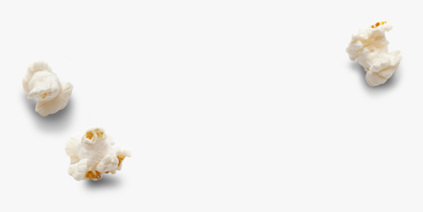 Popcorn Gif Png , Png Download - Pop Corn Png Gif, Transparent Png, Free Download