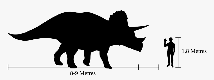 Show Pig Silhouette 9, Buy Clip Art - Triceratops Compared To Human, HD Png Download, Free Download