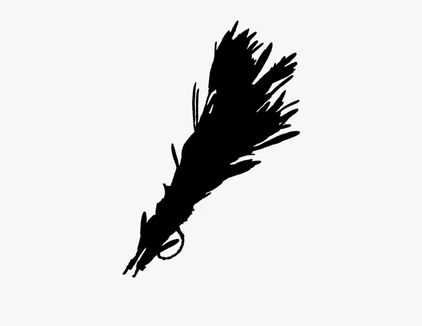 Bald Eagle Beak Feather Font Quill - Illustration, HD Png Download, Free Download
