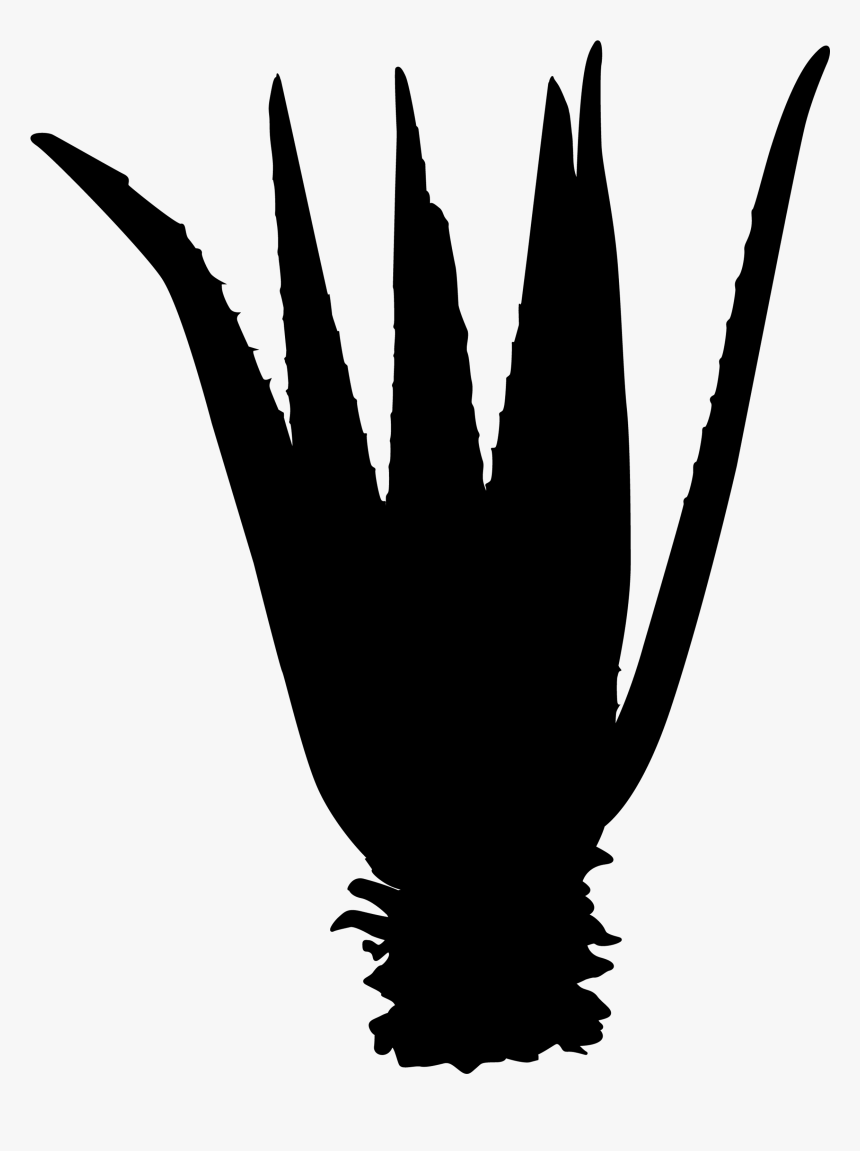 Beak Clip Art Finger Silhouette Feather - Hand, HD Png Download, Free Download