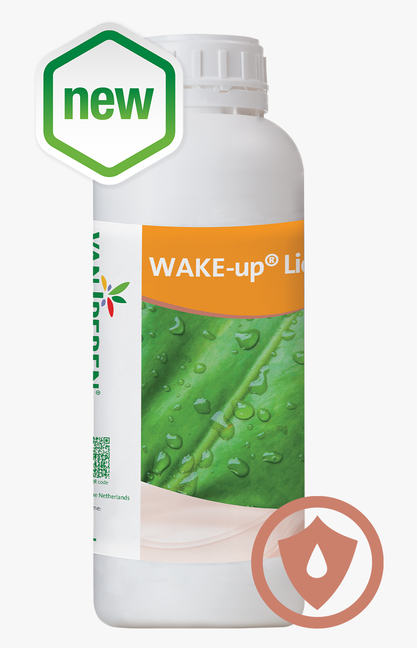 Bottle, HD Png Download, Free Download