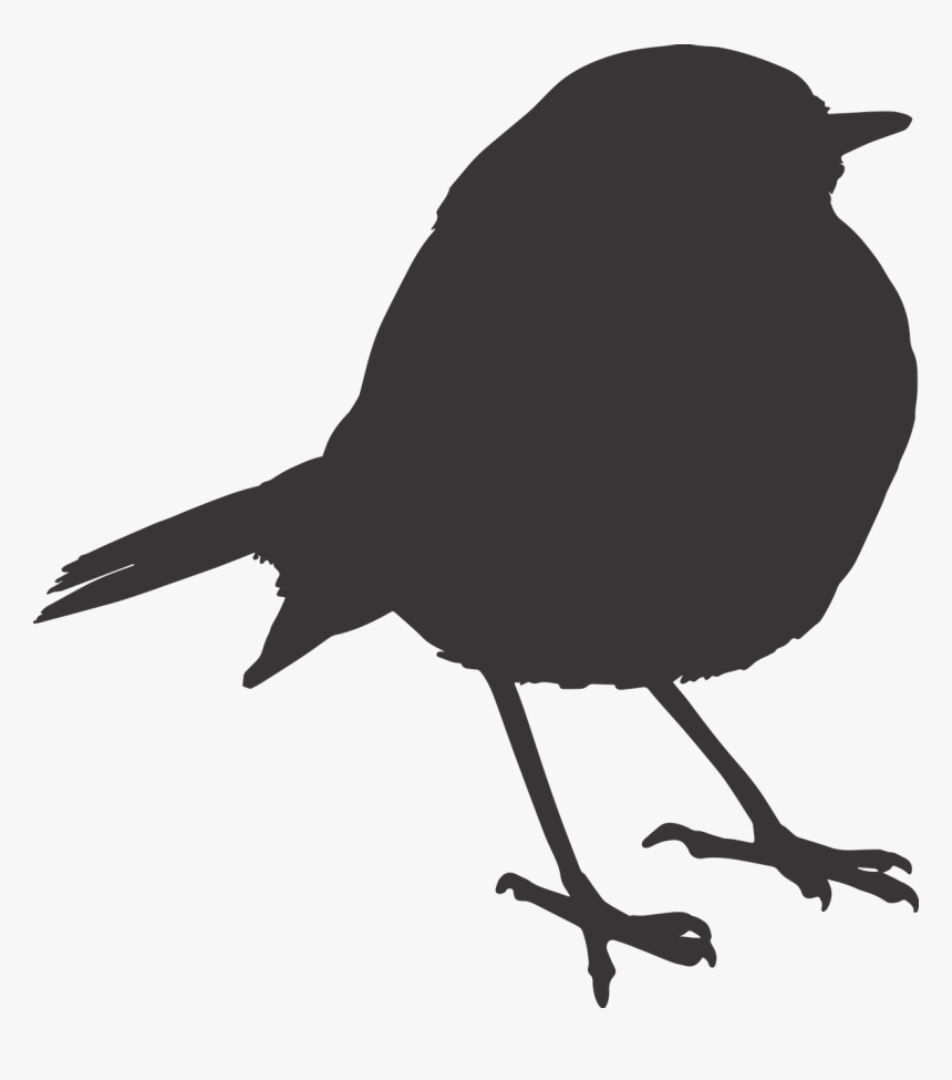 Robin Bird Silhouette Png, Transparent Png, Free Download
