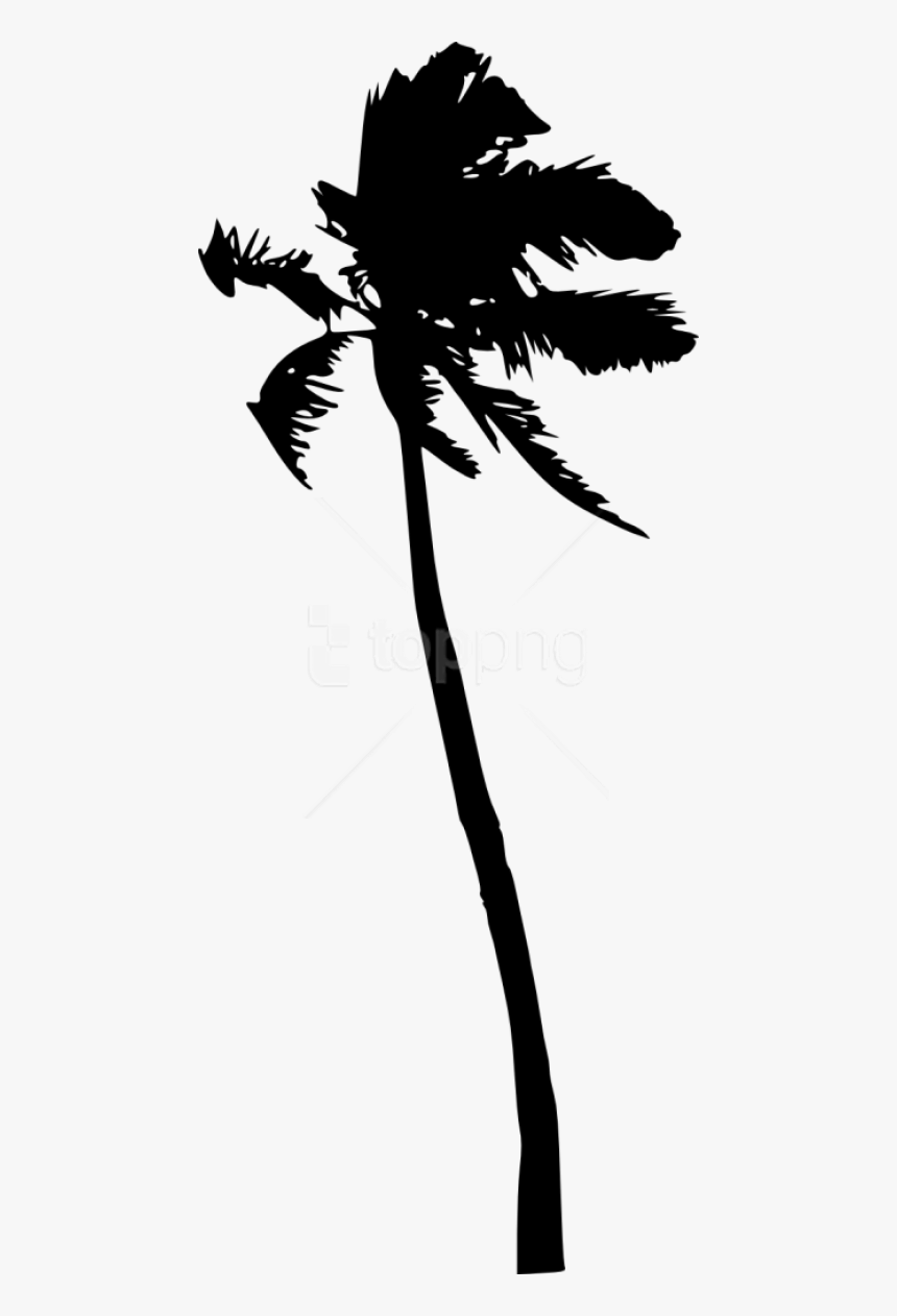 Black And Art,art - Transparent Palm Trees Silhouette, HD Png Download, Free Download