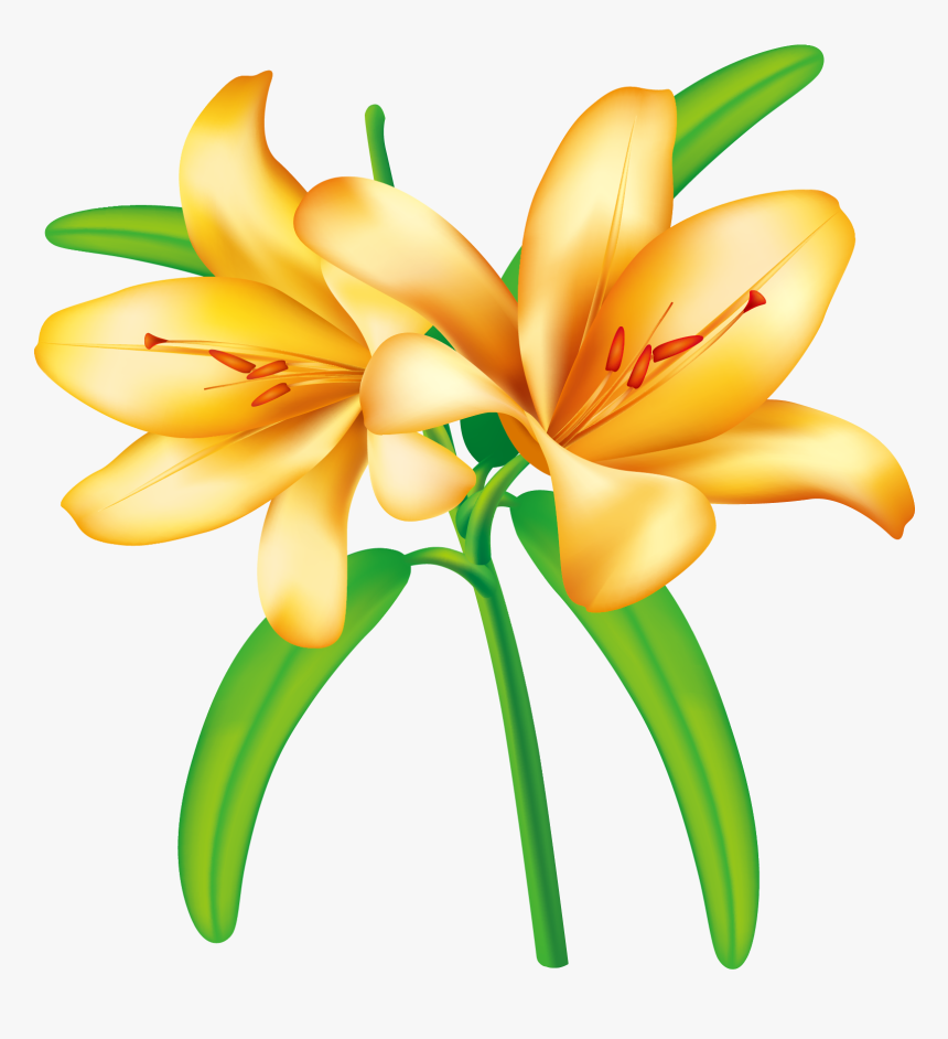 Easter Lily Clip Art - Yellow Transparent Flowers Png, Png Download, Free Download