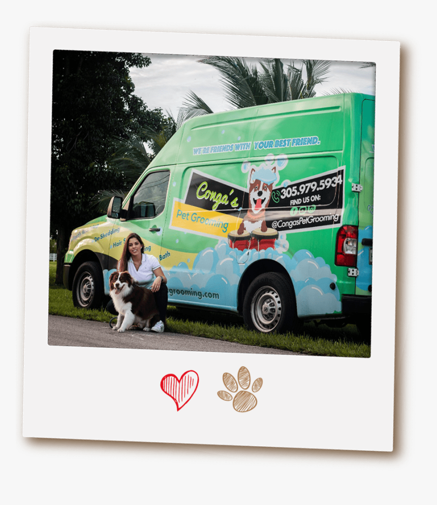 Why Conga’s Mobile Pet Grooming - Banner, HD Png Download, Free Download