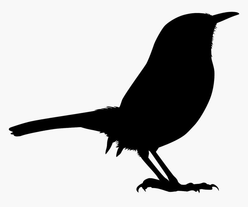 Wren Vector, HD Png Download, Free Download