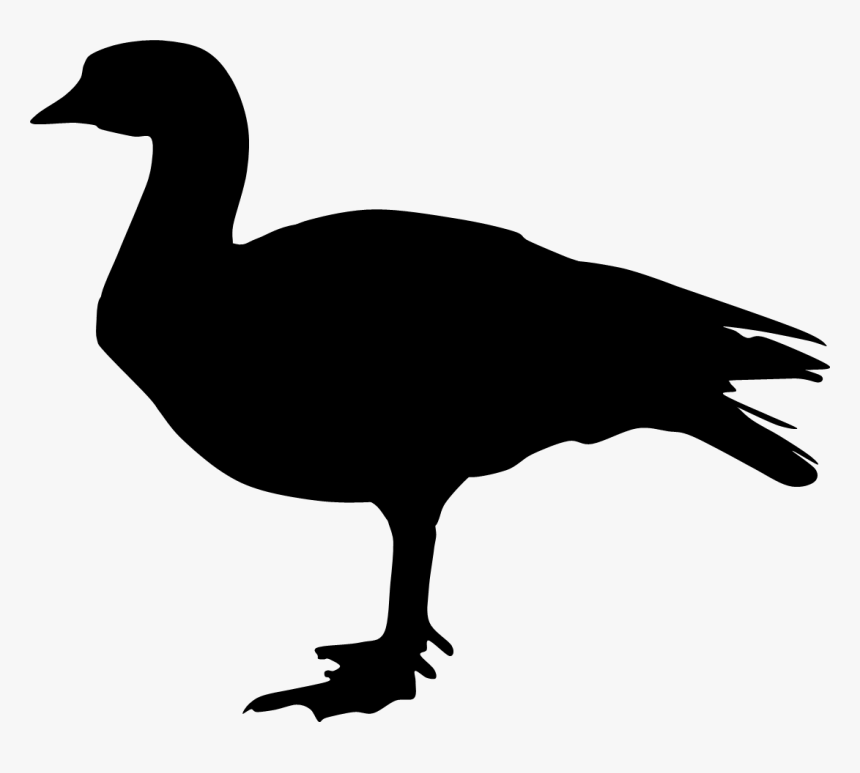 Duck Goose Silhouette Feather Clip Art - Гусь Пнг Силует, HD Png Download, Free Download
