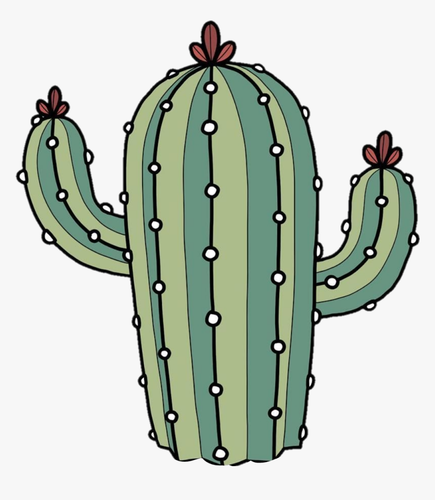 Cactus Png Tumblr - Stickers Cactus Tumblr Png, Transparent Png, Free Download