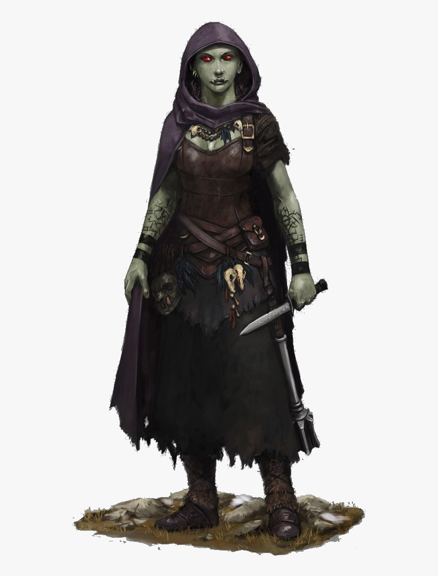 Female Half Orc Rogue , Png Download - D&d Female Half Orc, Transpa...