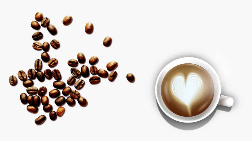 Transparent Espresso Clipart - Coffee Bean, HD Png Download, Free Download