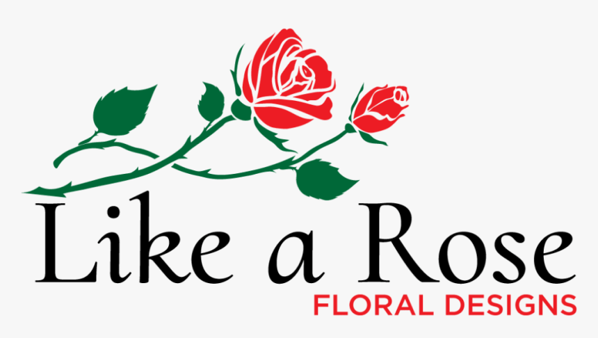 Like A Rose Floral Designs - Garden Roses, HD Png Download, Free Download