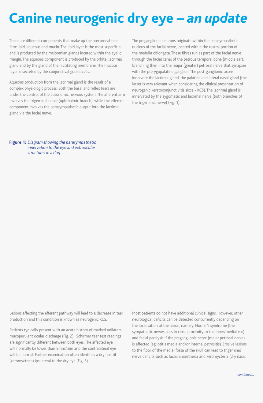 Document, HD Png Download, Free Download