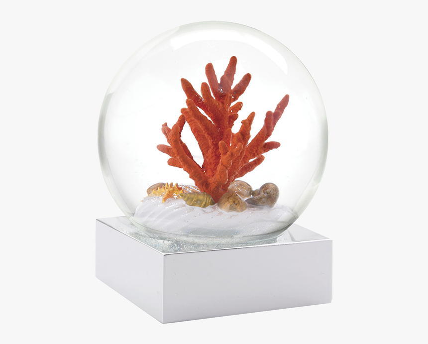 Coral Snow Globe, HD Png Download, Free Download