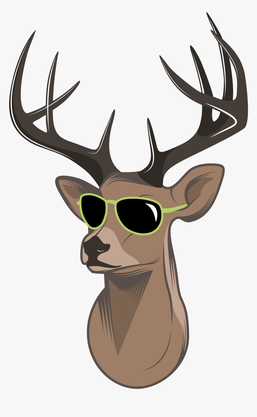 Deer Drawing, HD Png Download, Free Download