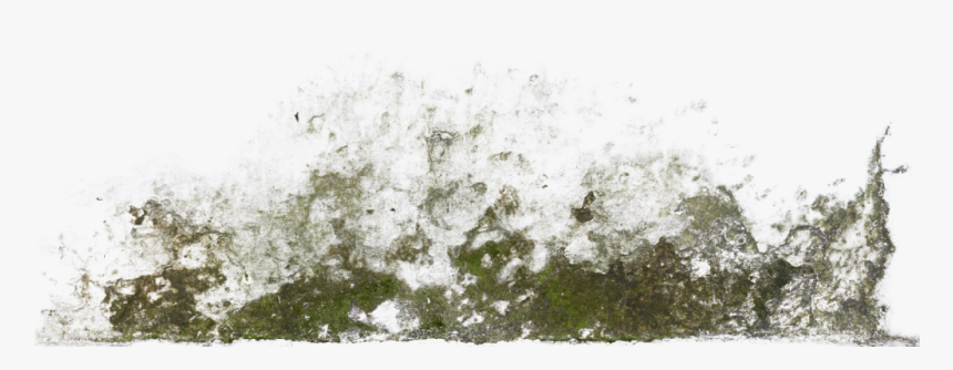 Decalbottom0024 1 S - Moss Alpha Texture, HD Png Download, Free Download