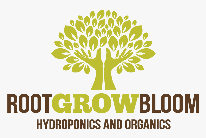 Root Grow Bloom - Montessori School Of Milton, HD Png Download, Free Download