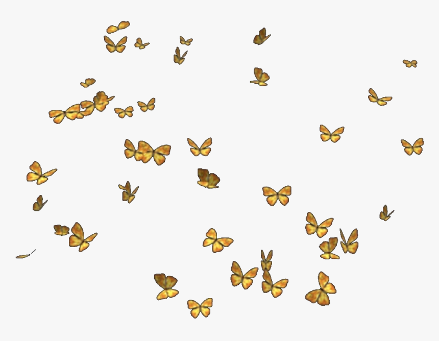 Transparent Yellow Butterfly Png Transparent Yellow Butterflies