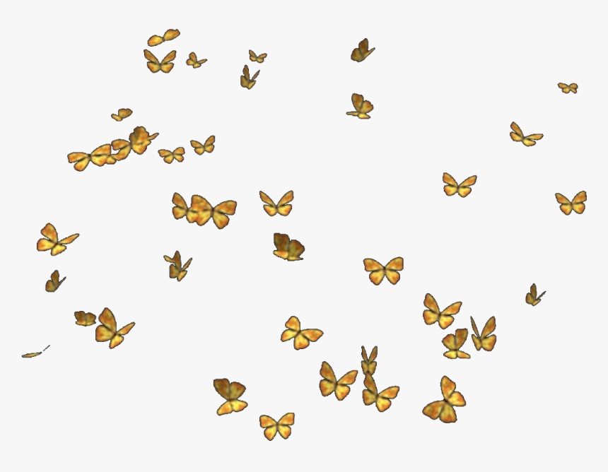 Transparent Yellow Butterfly Png - Transparent Yellow Butterflies Png, Png Download, Free Download