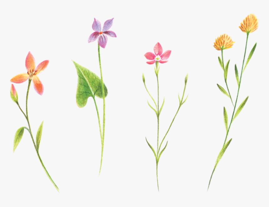 Petite Flower Tattoos, HD Png Download, Free Download