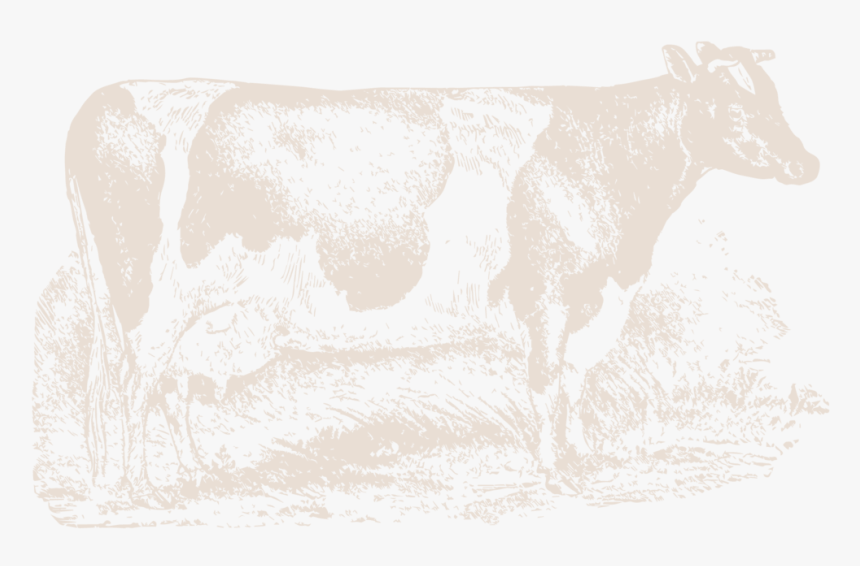 Dairy Cow , Png Download - Dairy Cow, Transparent Png, Free Download