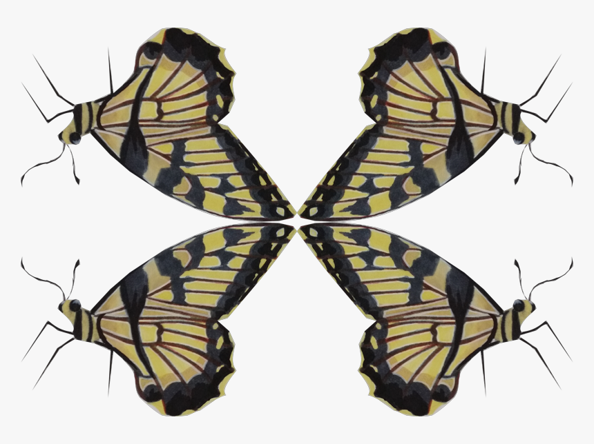 Swallowtail Butterfly, HD Png Download, Free Download