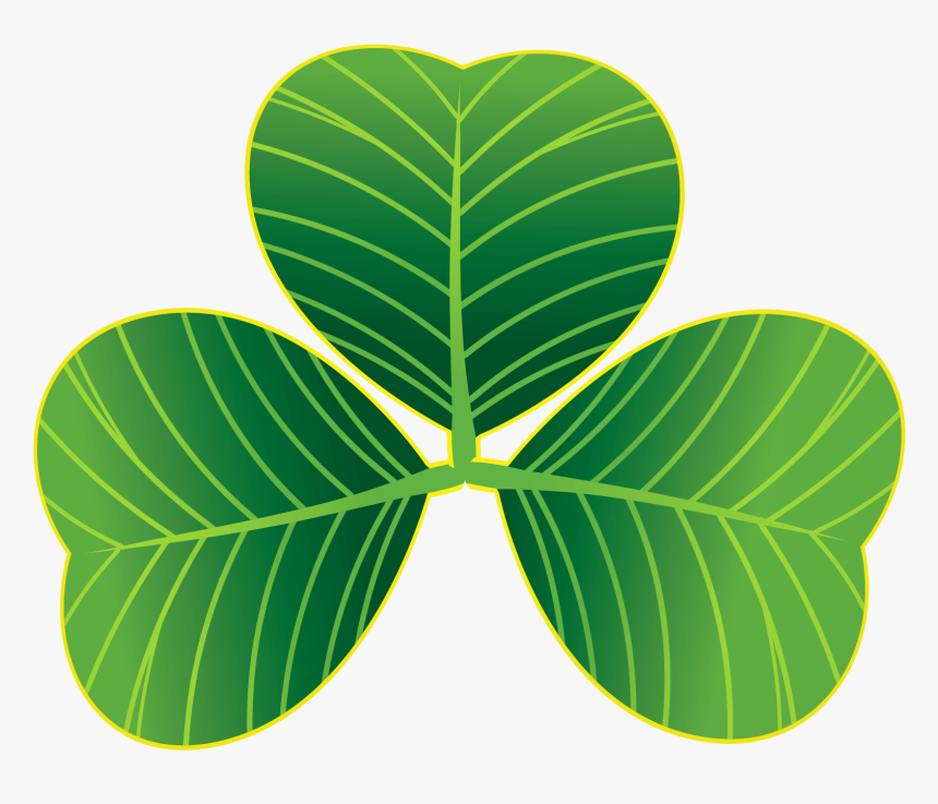 St Patricks Day Shamrocks Png Clipart - Saint Patrick's Day, Transparent Png, Free Download
