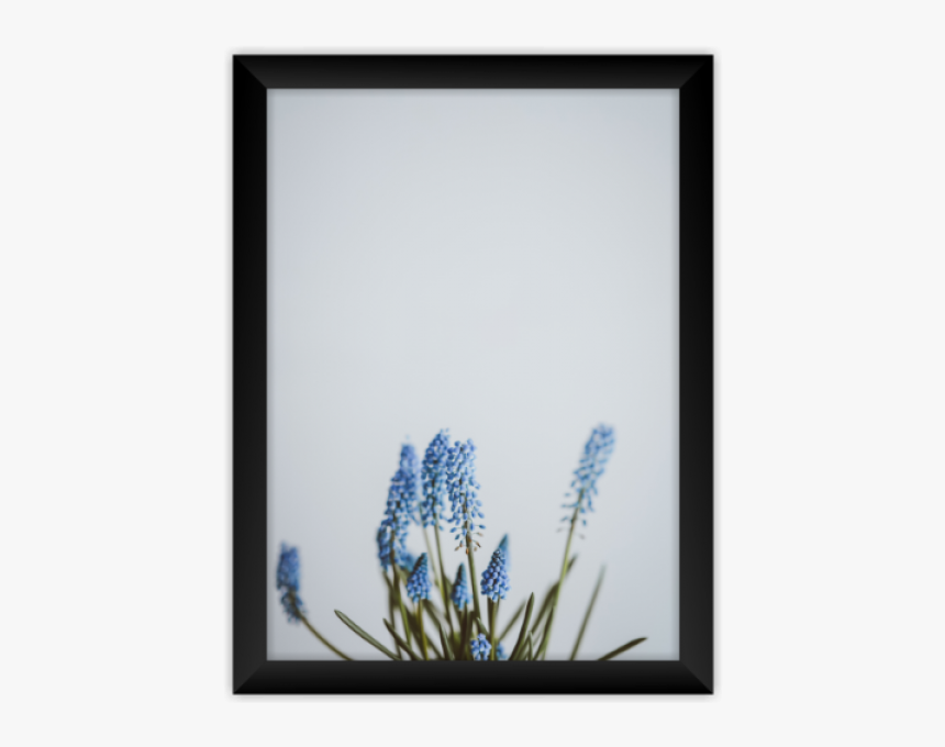 Quadro Floral - Para Atraer Cosas Positivas, HD Png Download, Free Download