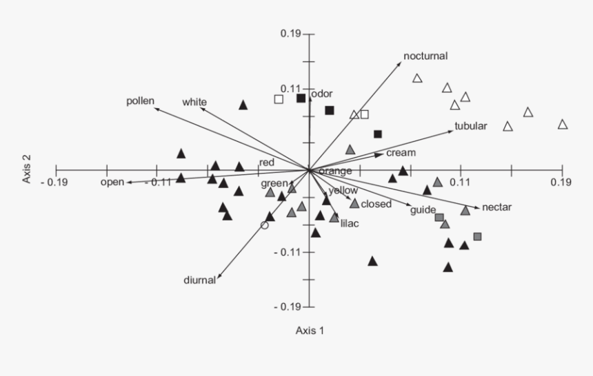 Diagram, HD Png Download, Free Download