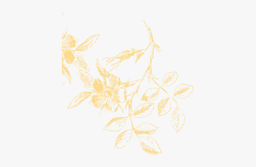 Florais Png, Transparent Png, Free Download