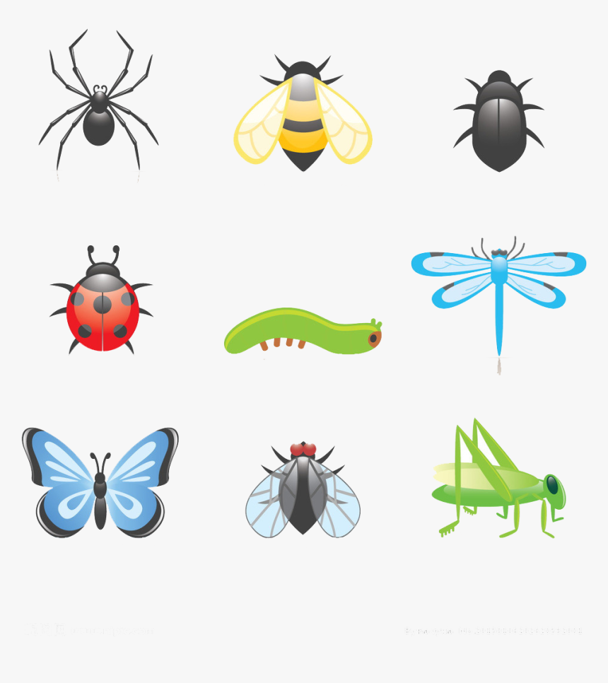 Cartoon Clip Art Transprent - Cartoon Insect, HD Png Download, Free Download