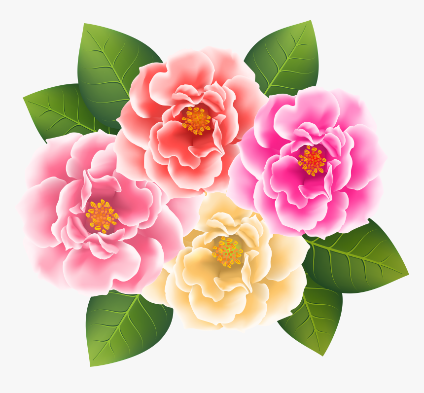 Pink Rose Clipart Japanese Rose - Clip Art Camellia Transparent Background, HD Png Download, Free Download