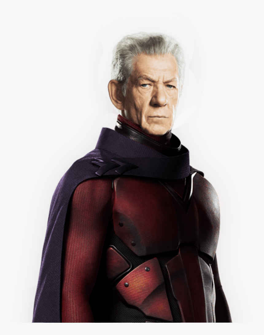 Magneto, Photo Puzzle Game - Action Figure, HD Png Download, Free Download