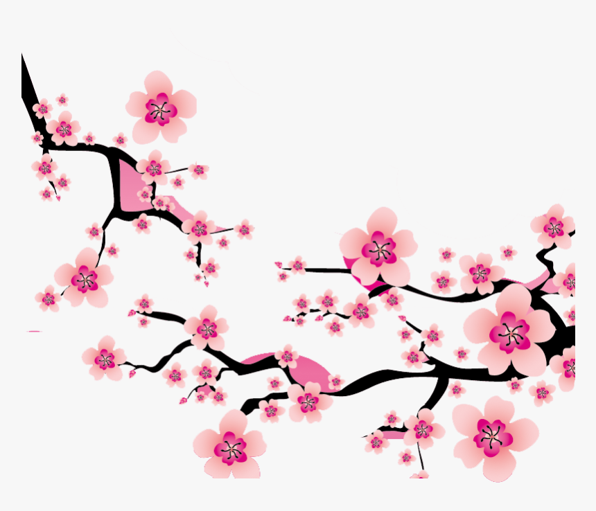 Sakura Blossom Clipart Plum Flower - Bunga Sakura Png, Transparent Png, Free Download